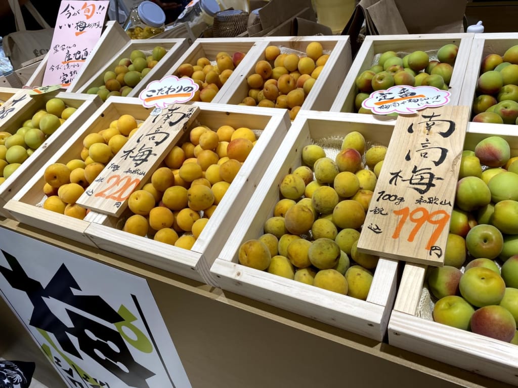 6月の梅八百屋