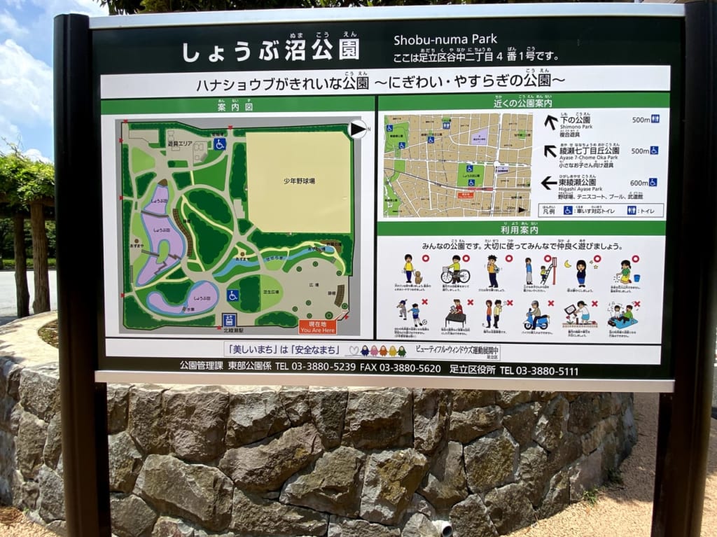 しょうぶ沼公園