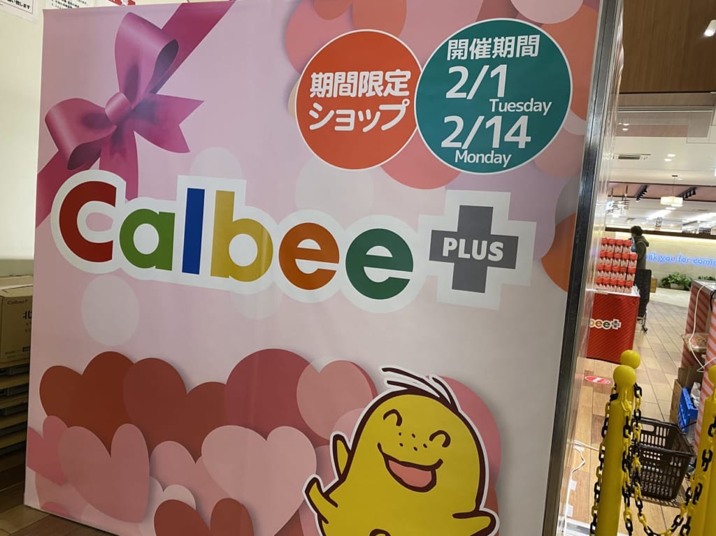 カルビープラス ポンテポルタ千住