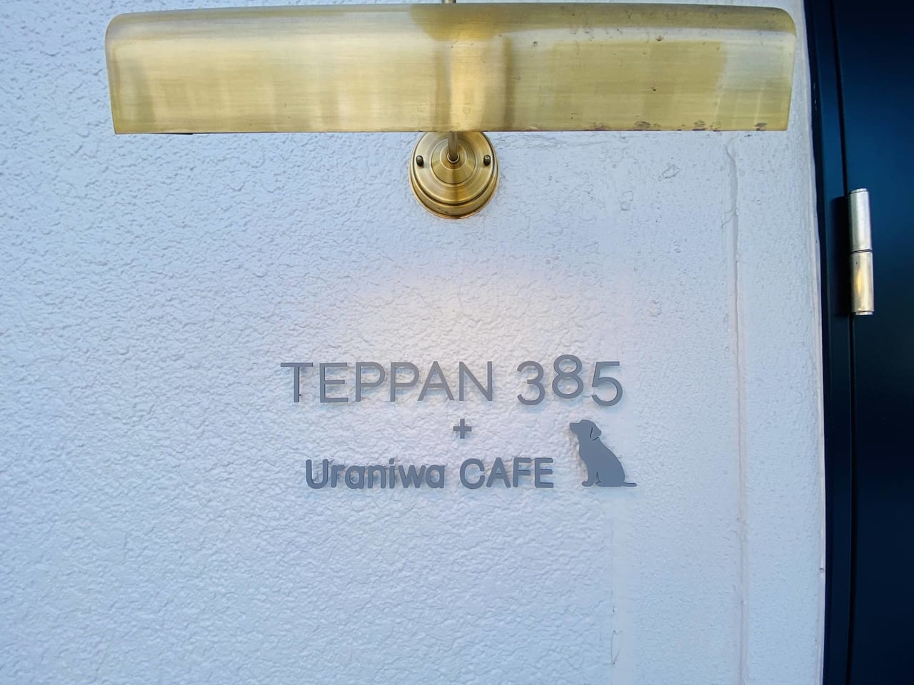 TEPPAN385