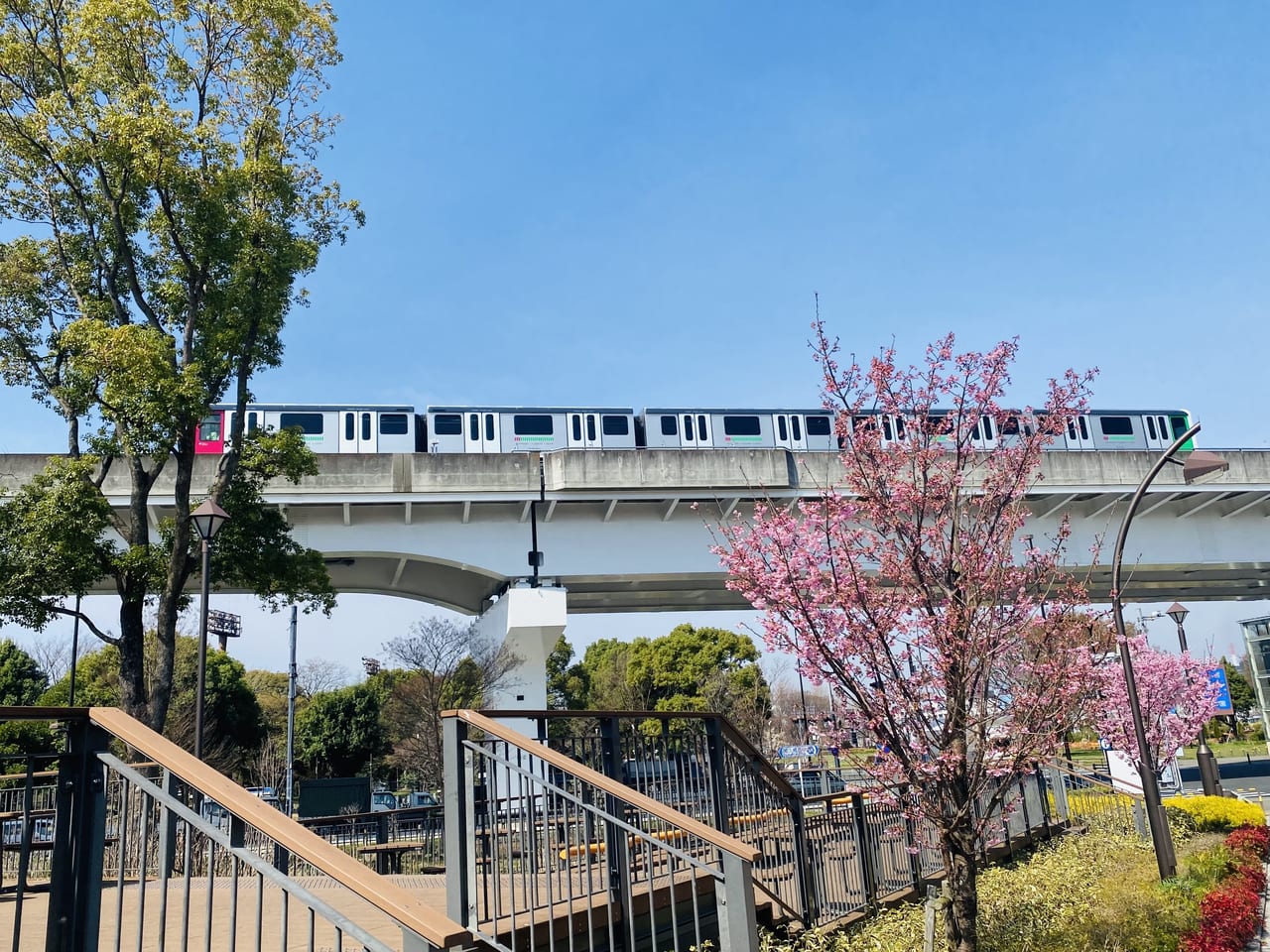 舎人公園千本桜まつり