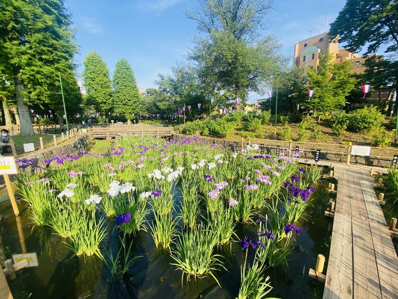 しょうぶ沼公園