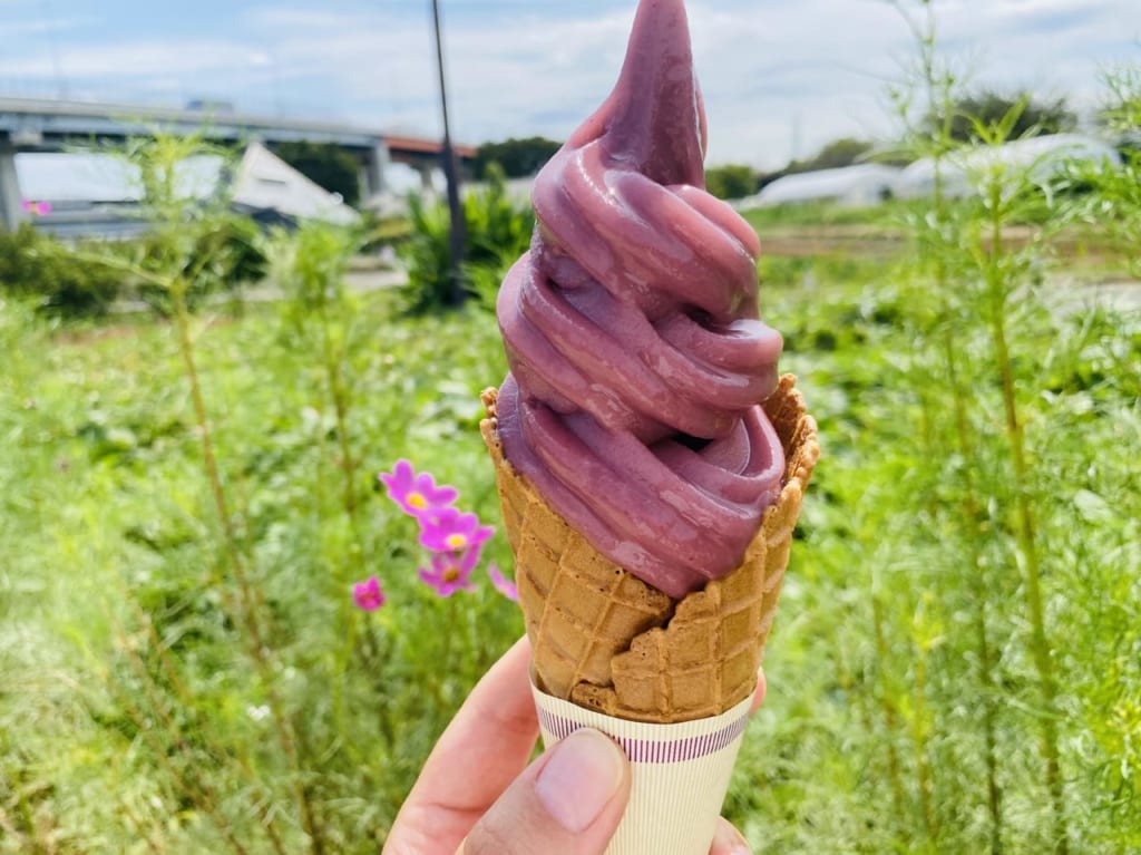 都市農業公園　２０２３秋