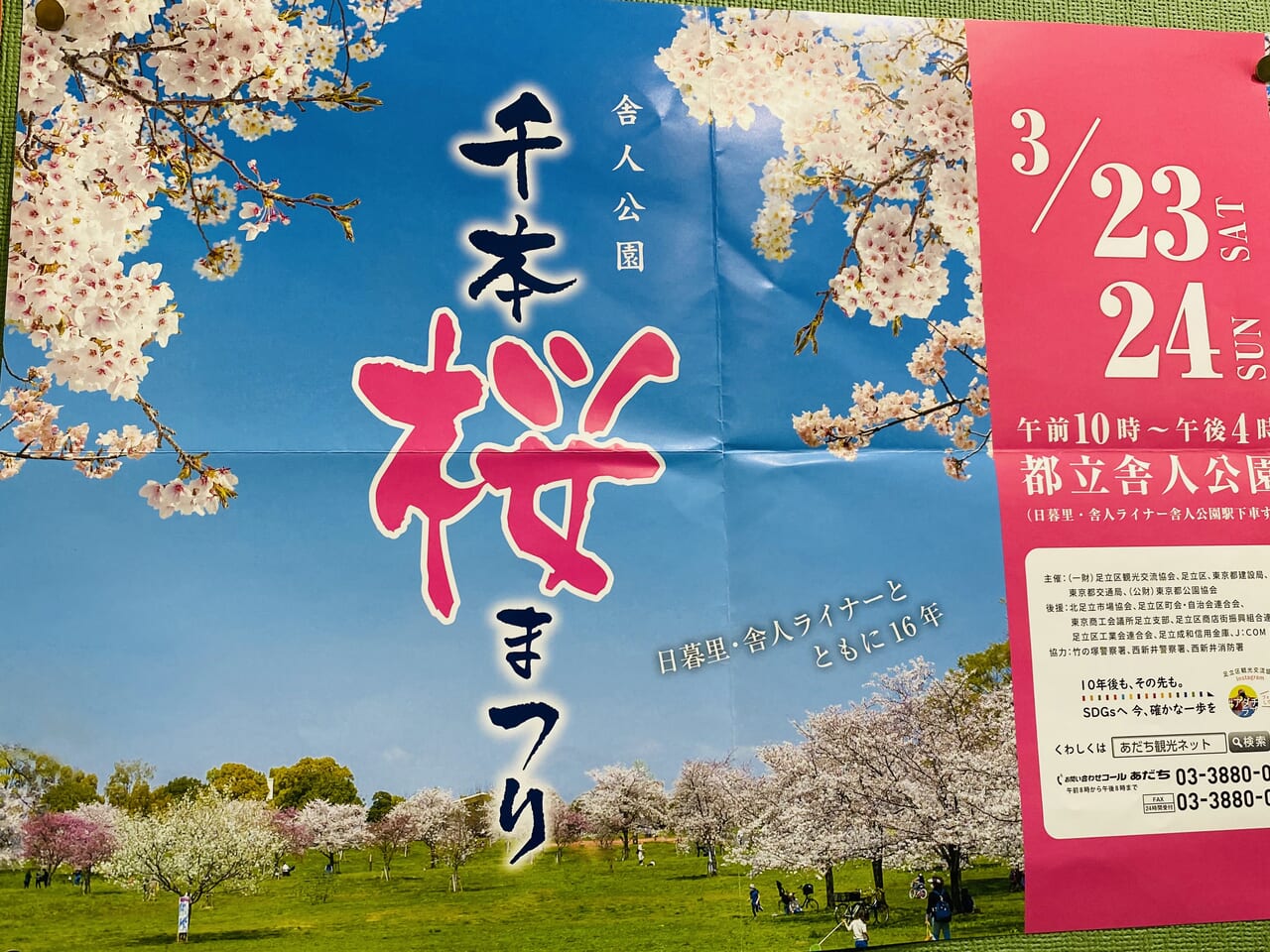 舎人公園千本桜まつり２０２４