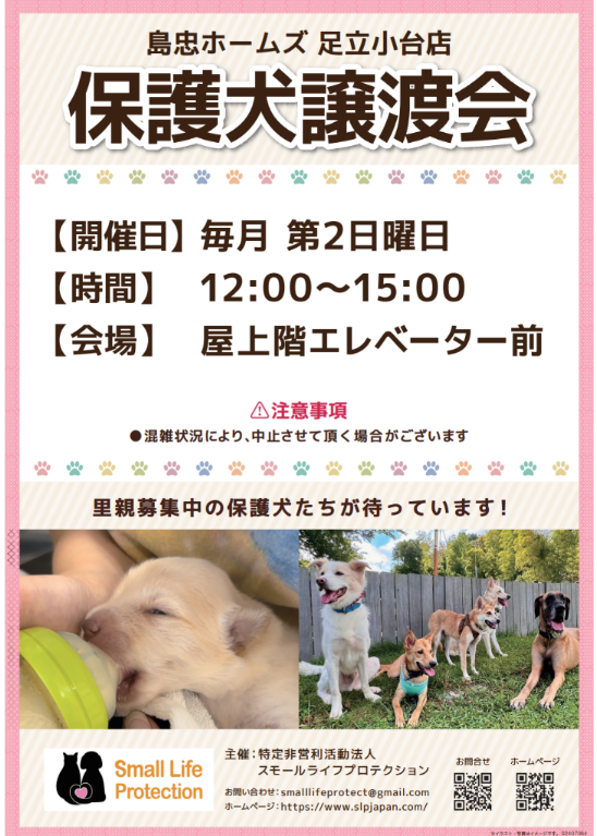 保護犬譲渡会　足立小台