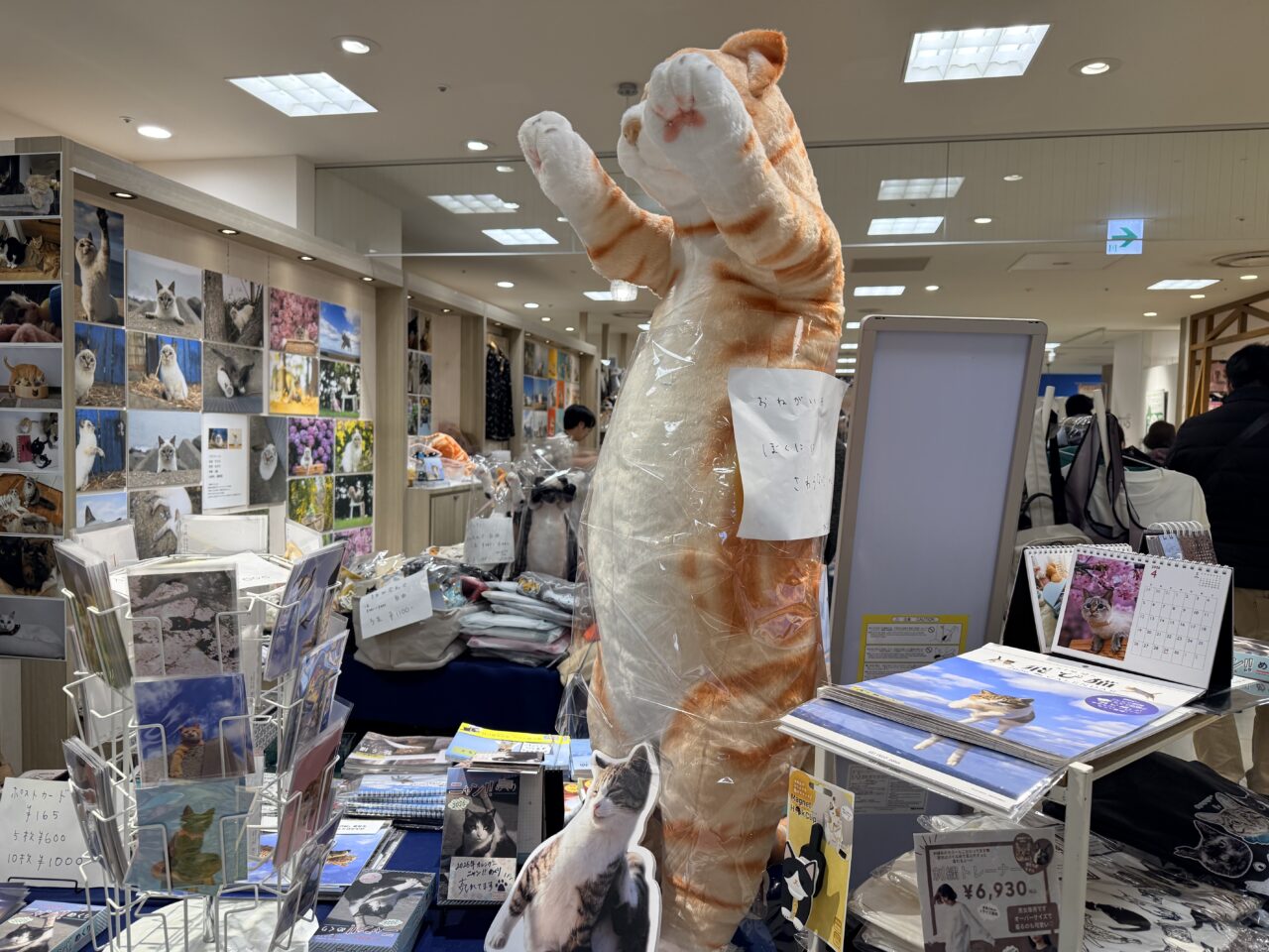 2026年丸井北千住店飛び猫商店