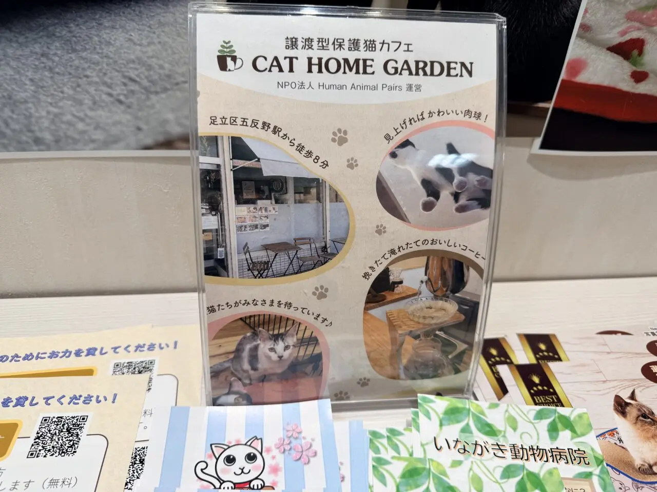 保護猫カフェ広告