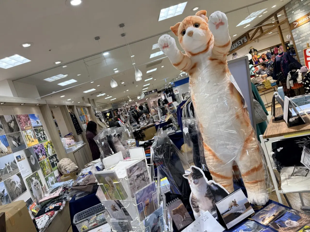 2026年丸井北千住店飛び猫商店