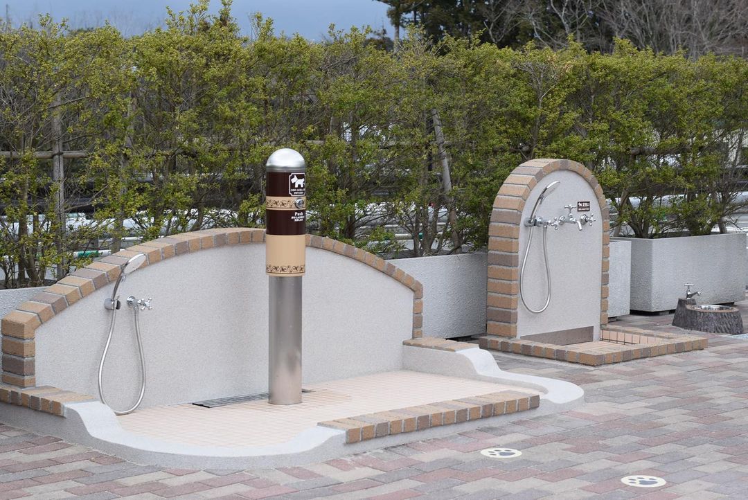 舎人ドッグフェスティバル