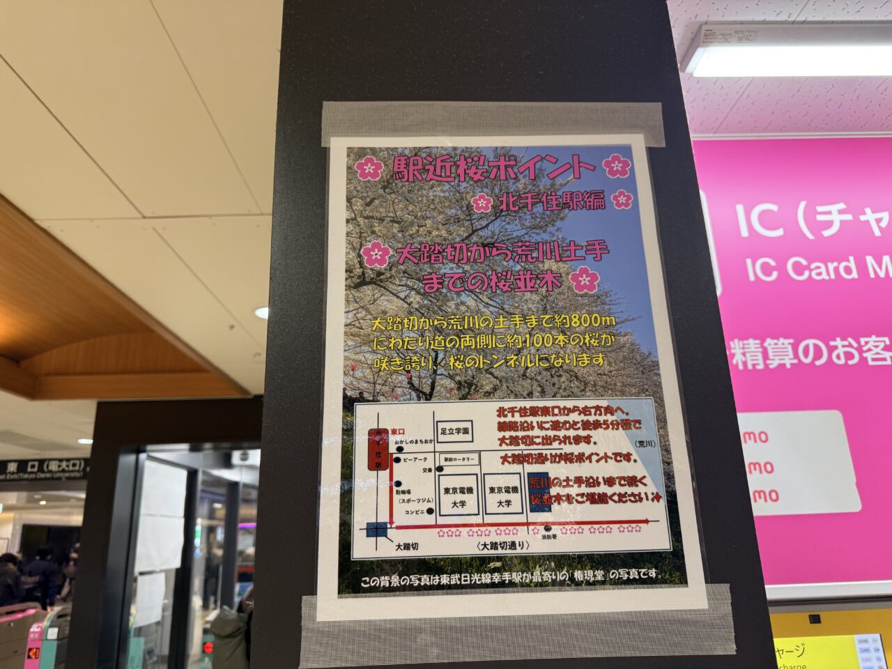 北千住駅近桜ポイントのポスター
