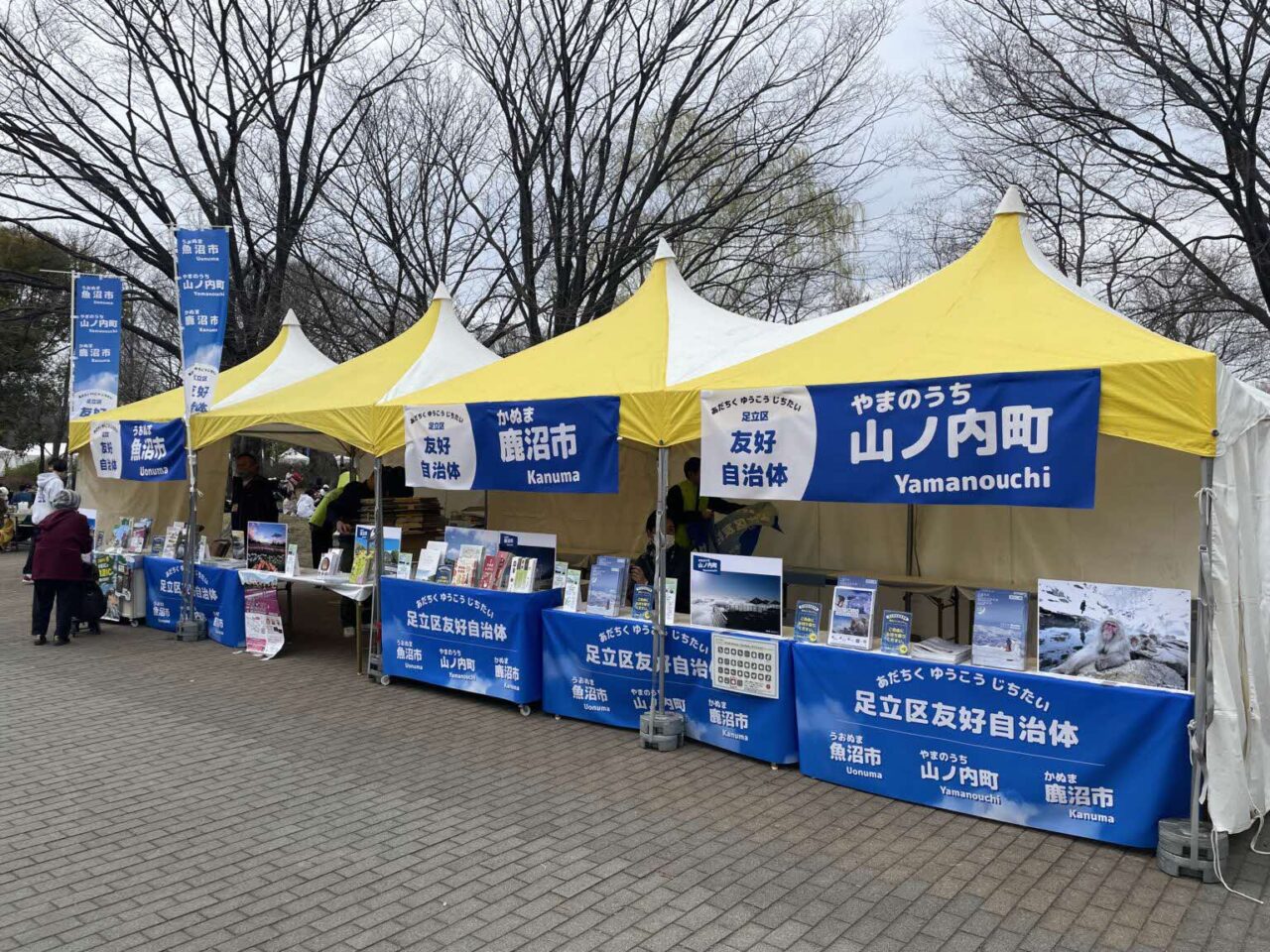 舎人公園千本桜まつり