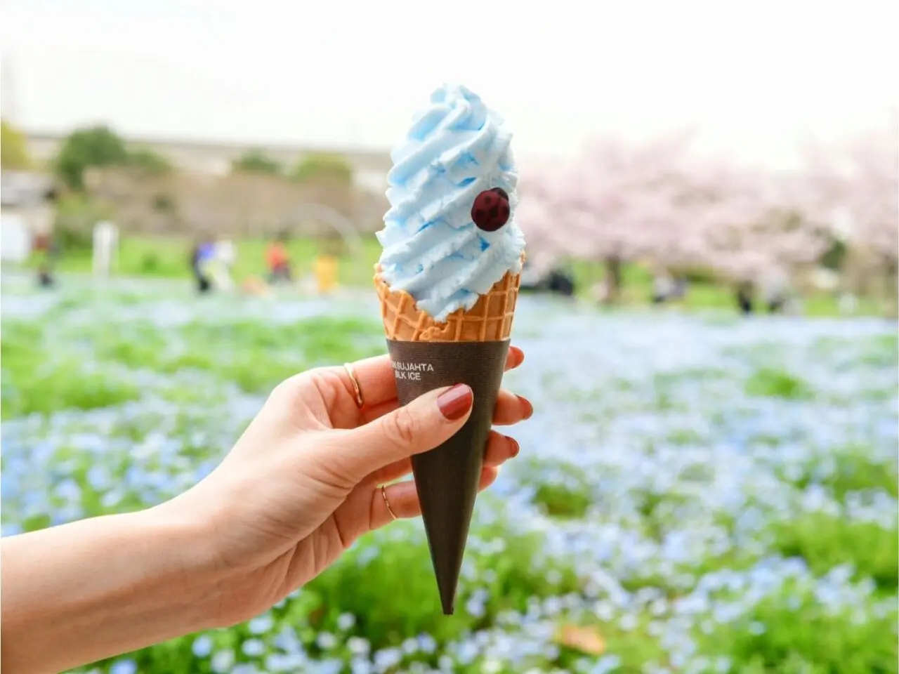 花と光のムーブメント