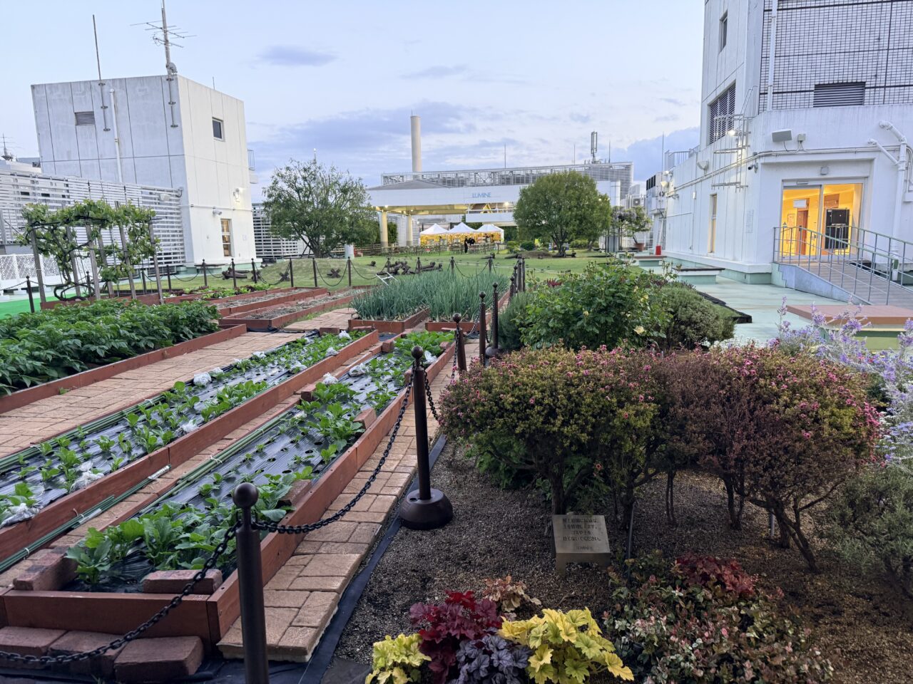 ルミネ北千住屋上