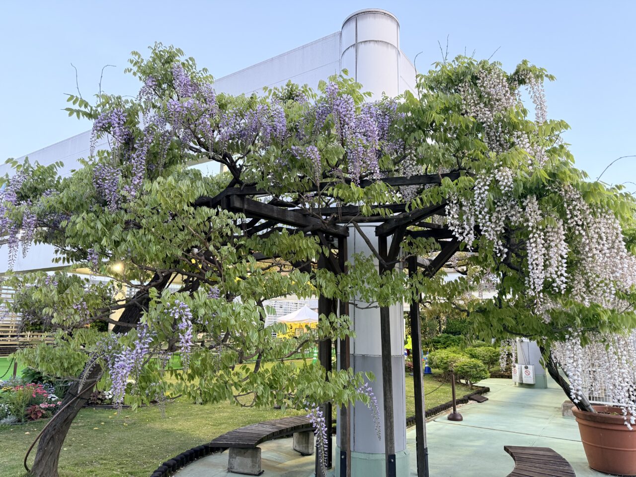 ルミネ北千住屋上