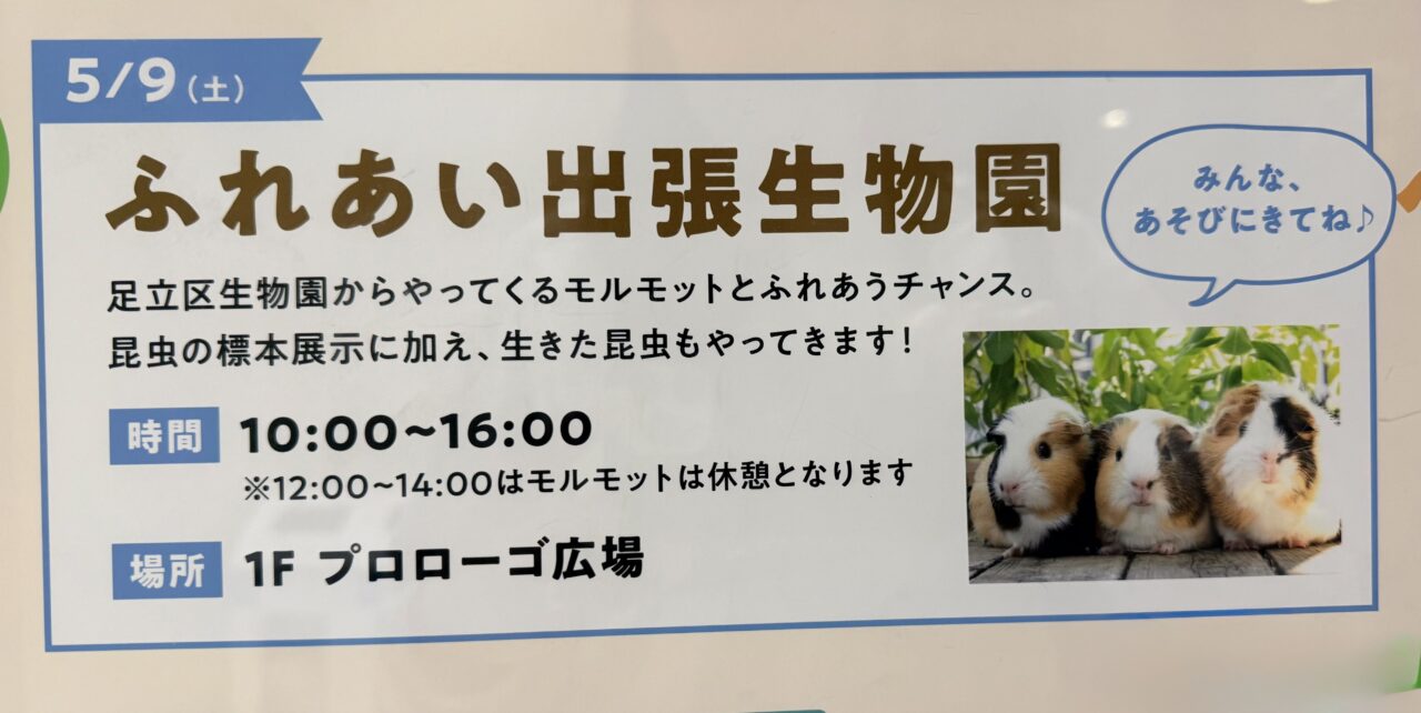 ふれあい出張生物園