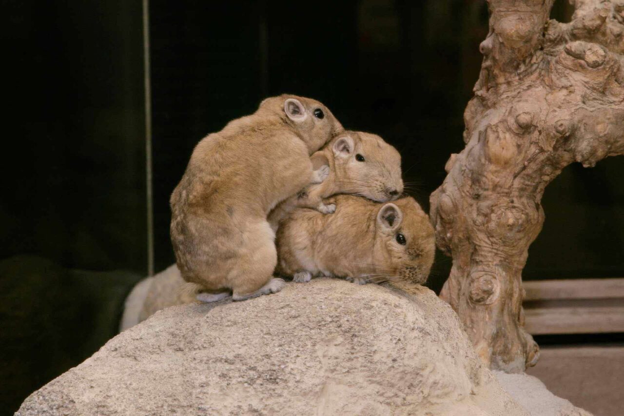 足立区生物園
