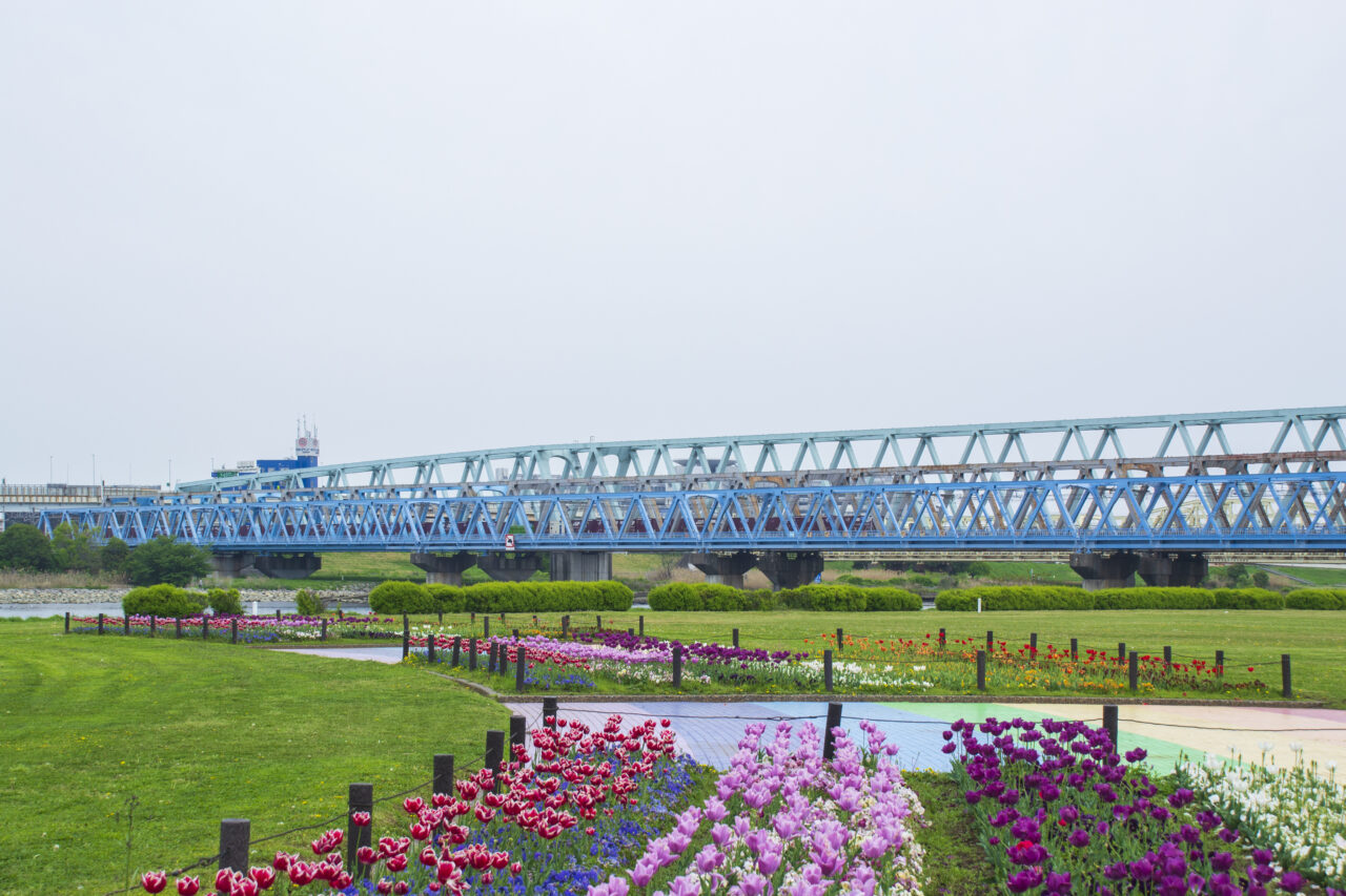 虹の広場 足立区